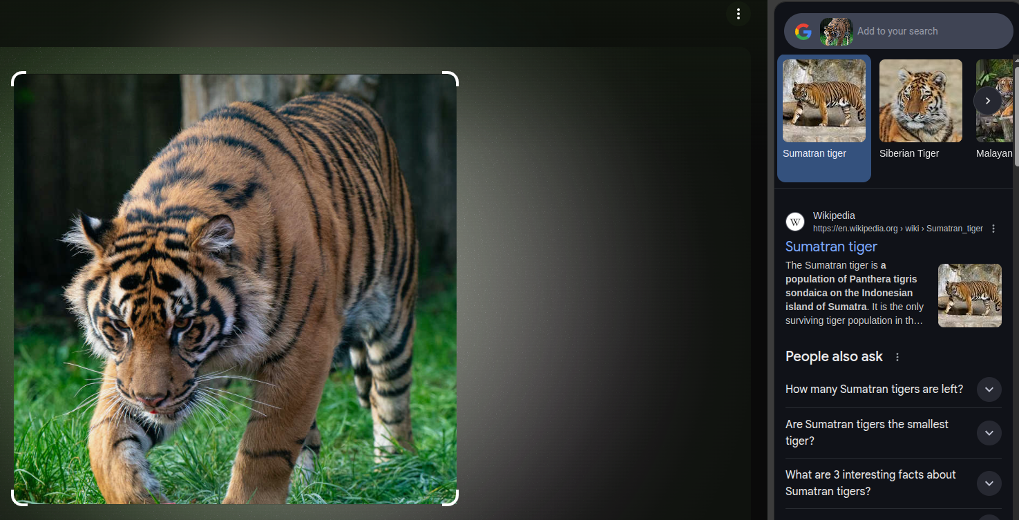 Google Lens