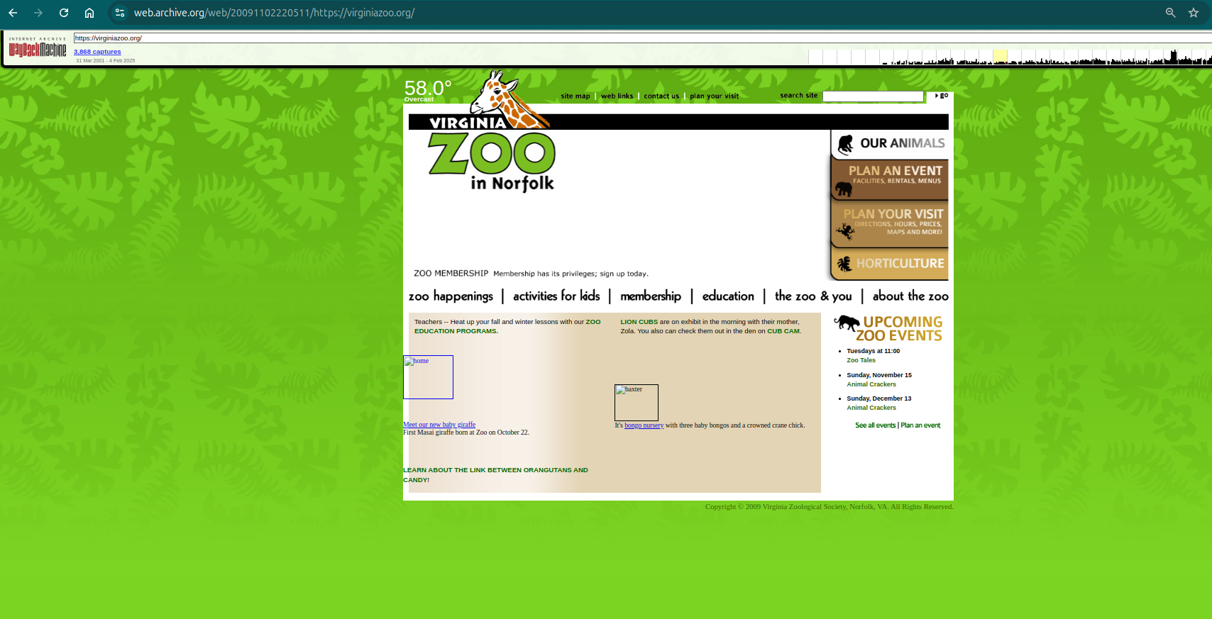 Wayback Machine