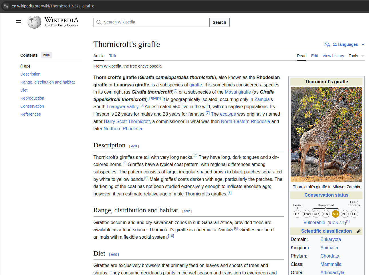 Wikipedia